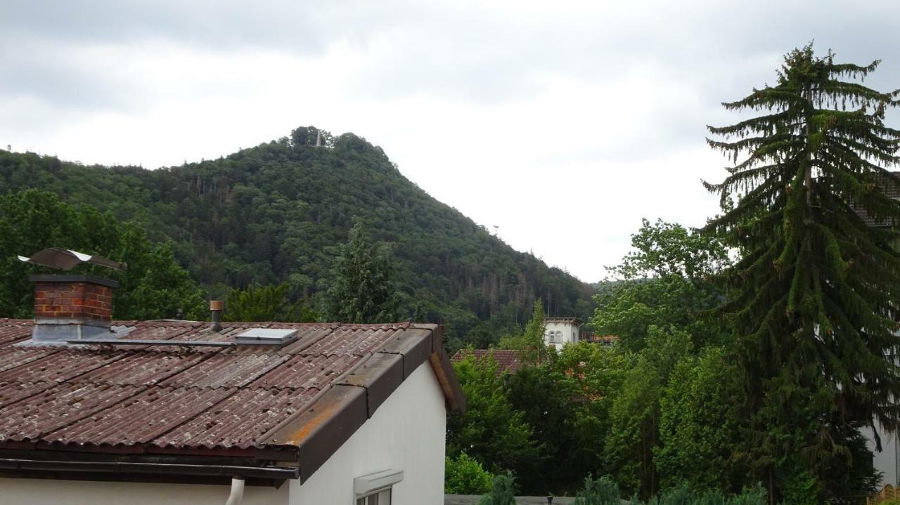 Ferienwohnung Loma Bad Harzburg Eksteriør bilde